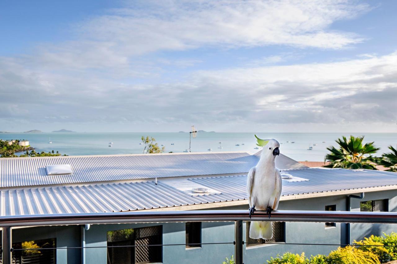 Toscana Village Resort Airlie Beach Exterior foto